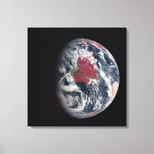 Växttillväxt på planeten jord. canvastryck