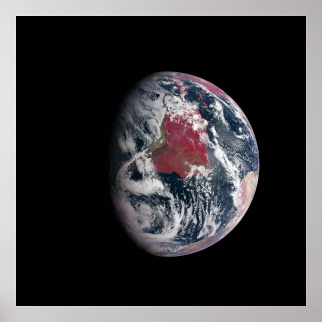 Växttillväxt på planeten jord. poster (Framsidan)