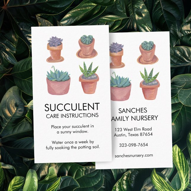 Växtvårdsinstruktioner Krukväxt Sukkulent Kaktus Visitkort (Plant Care Instructions Houseplant Succulent Cacti Business Card
)