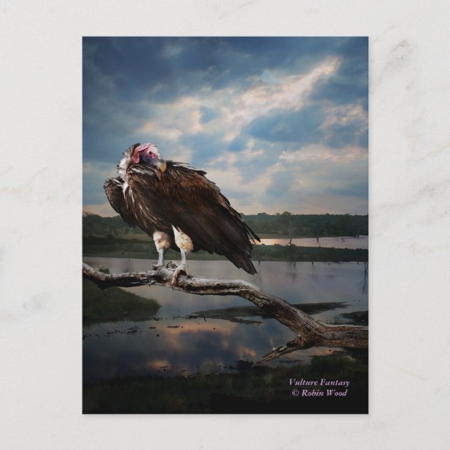 Vculture Fantasy Vykort (Framsida)