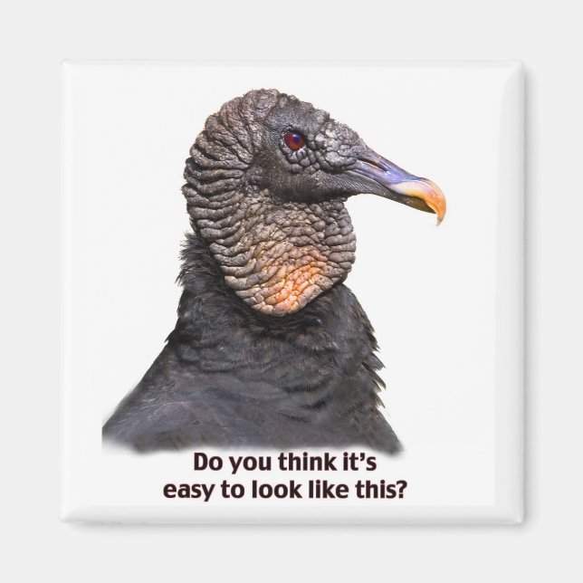 Vculture Magnet (Framsidan)