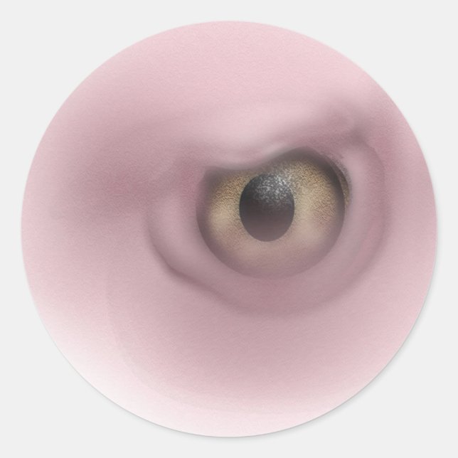Vculture Öga Runt Klistermärke (Framsida)