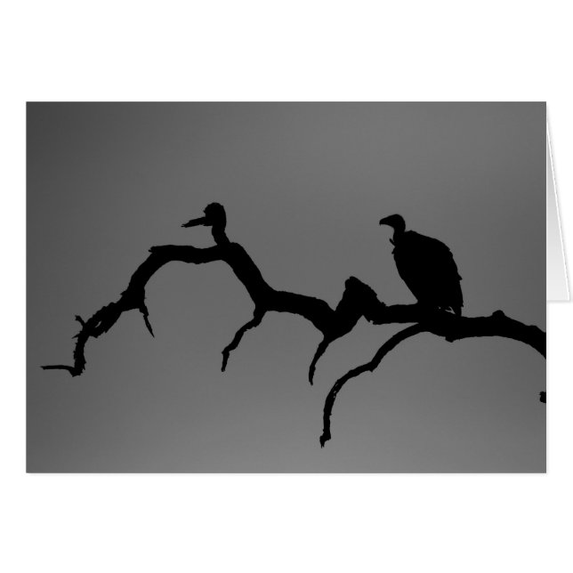 Vculture Silhouette Hälsningskort (Framsidan Horizontal)