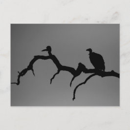 Vculture Silhouette Vykort