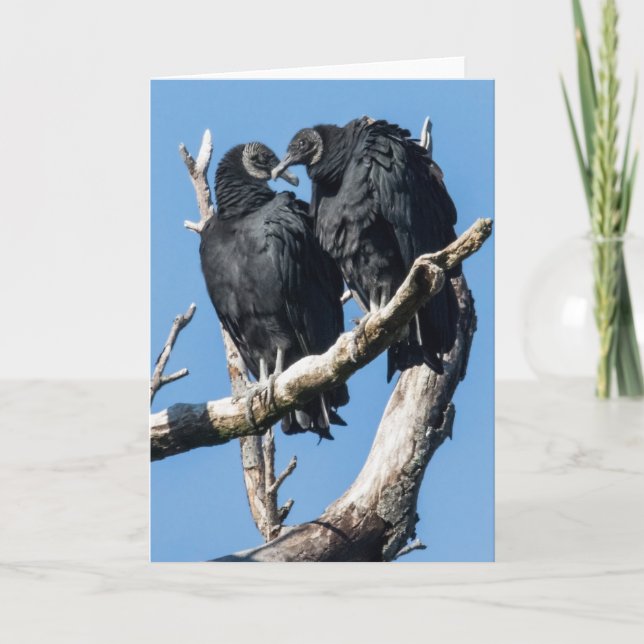 Vculture Valentine Helgkort (Framsida)