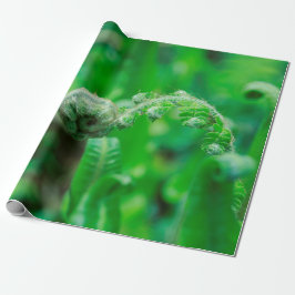 Veckla ut Ferns Presentpapper