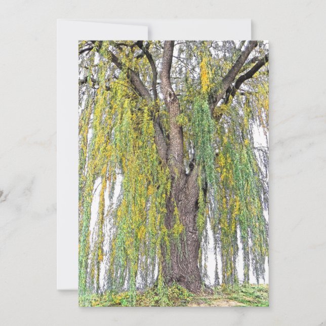 VECKOR/GULT OCH GRÖNT/BLANK (Framsida)