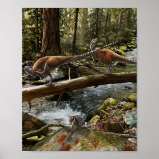 Vectidromeus Partryck Poster