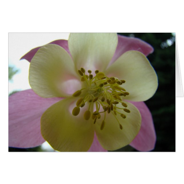 veduta hälsningskort (Framsidan Horizontal)