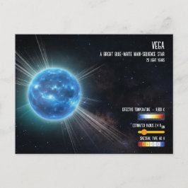 Vega Blå Vit Stjärn Natt Himmel Rymd Infographic Vykort