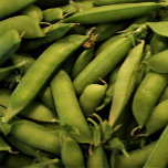 Vegan Garden Pea Puzzle Pussel<br><div class="desc">Färskt plockat ärtpussel! Använda din bild,  bild,  fotografi eller text för att göra en speciell gåva.</div>