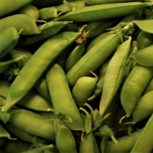 Vegan Garden Pea Puzzle
