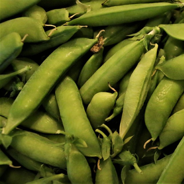 Vegan Garden Pea Puzzle Pussel (Skapare uppladdad)