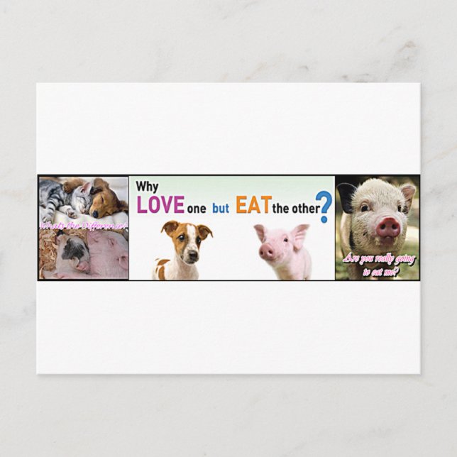 Vegan Gear Whats skillnaden? Vykort (Framsida)