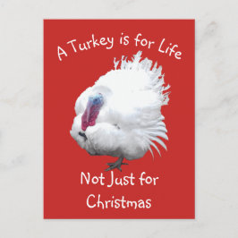 Vegan-julTurkiet Vykort