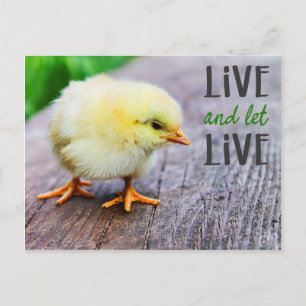 Vegan "Lev och låt leva" med söt chick Vykort