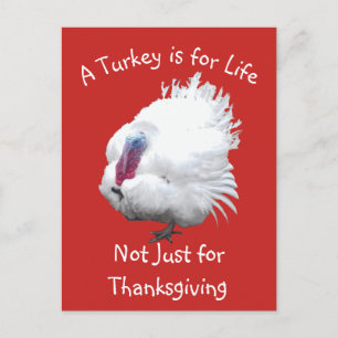 Vegan Thanksgiving Turkey Postcard Vykort