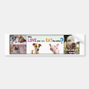 Veganen utrustar vad är skillnaden? bildekal