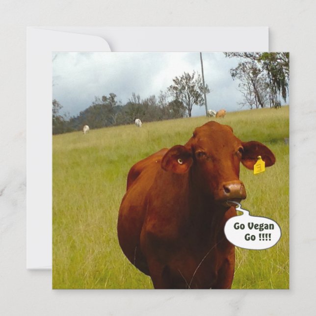 Vegansk middagsbjudning inbjudningar (Framsida)