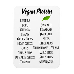 Veganska livsmedel med höga proteinkällor magnet