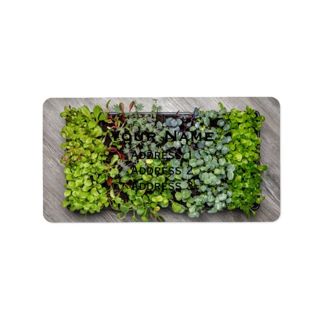Vegetabiliska plantor adressetikett (Framsidan)