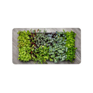 Vegetabiliska plantor adressetikett