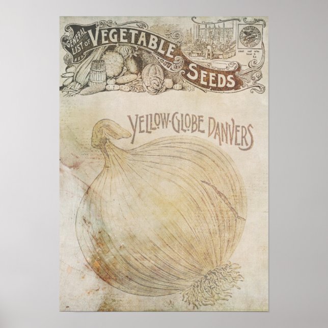 Vegetabiliska Poster (Framsidan)