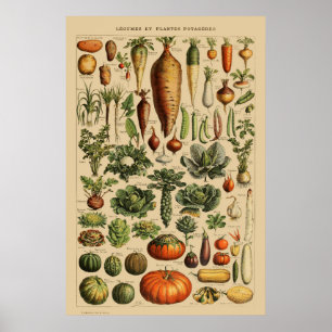Vegetabiliska Vintagar, Bok Fransk Poster