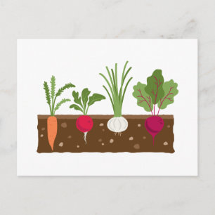 Vegetable Garden Vykort