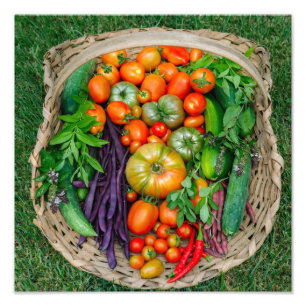 Vegetable Harvest Basket Fototryck