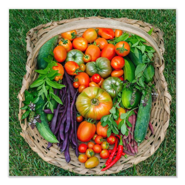 Vegetable Harvest Basket Fototryck (Framsidan)
