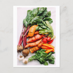 Vegetable Medley Photo Vykort