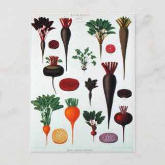 Vegetales - Bénary Vykort