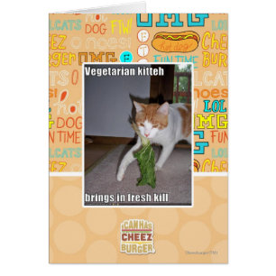 Vegetarian Kitteh Hälsningskort