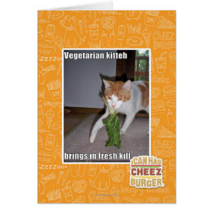 Vegetarian Kitteh Hälsningskort