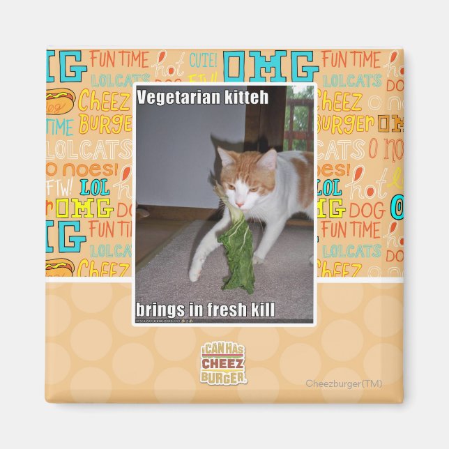 Vegetarian Kitteh Magnet (Framsidan)