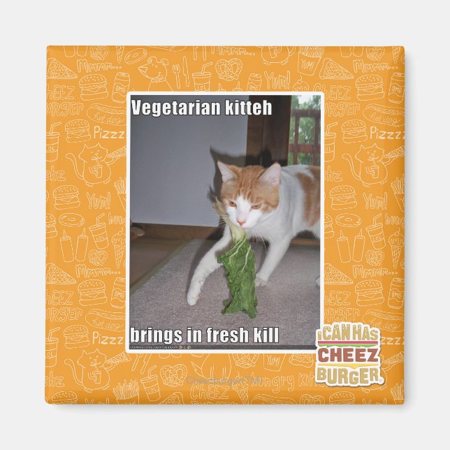 Vegetarian Kitteh Magnet (Framsidan)