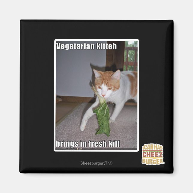 Vegetarian Kitteh Magnet (Framsidan)