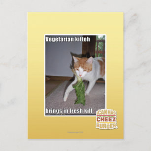 Vegetarian Kitteh Vykort