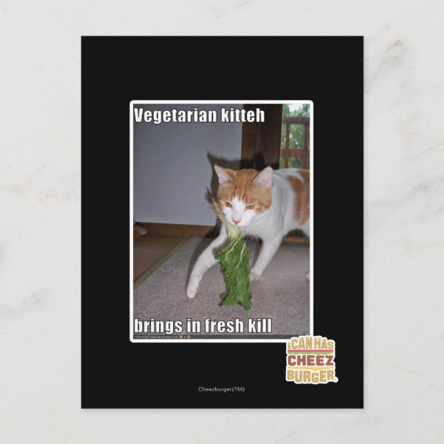 Vegetarian Kitteh Vykort (Framsida)