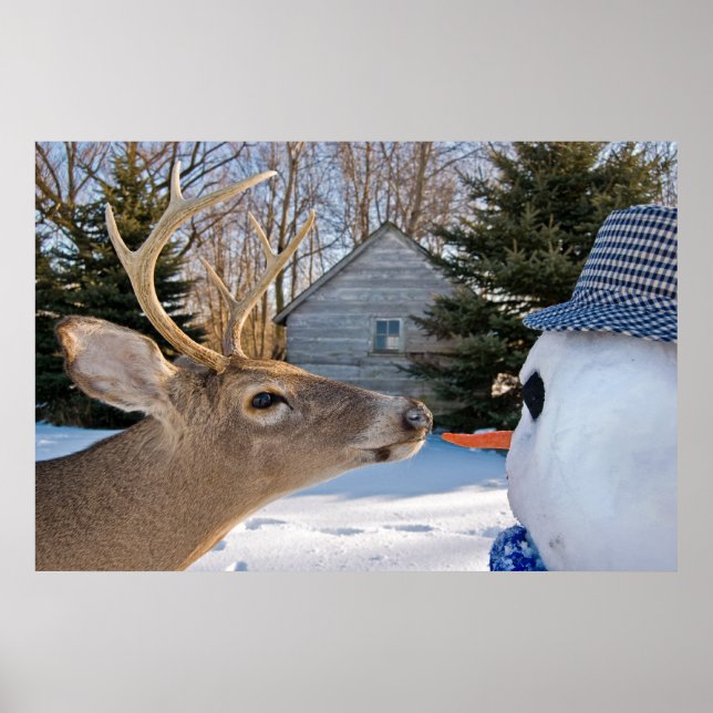 Vegetarian Poster (Framsidan)