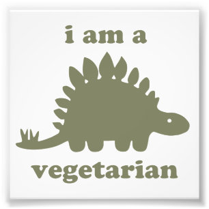 Vegetarian Stegosaurus Dinosaur - Grönt Fototryck