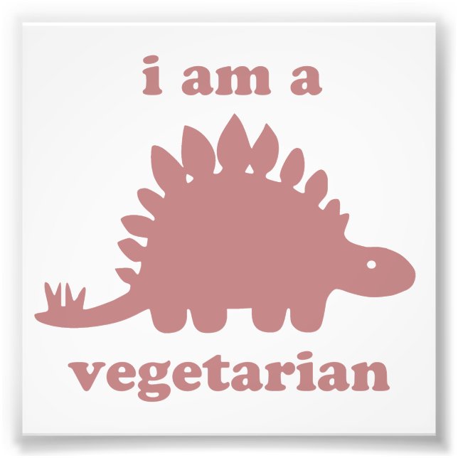 Vegetarian Stegosaurus Dinosaur - Rosa Fototryck (Framsidan)