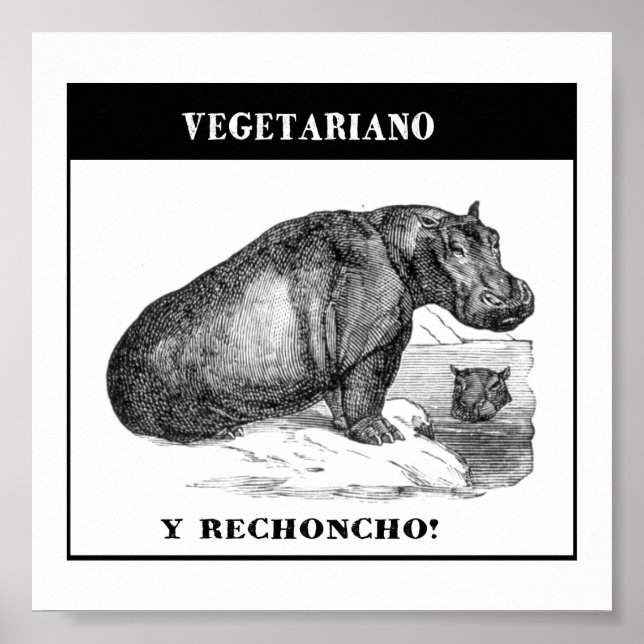 Vegetariano e gordinho poster (Framsidan)