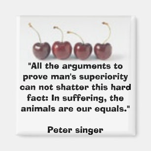 Vegetarisk magnet