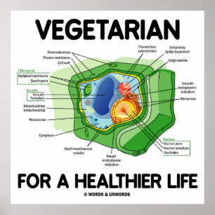 Vegetariska för ett friskare liv (växtcell) poster