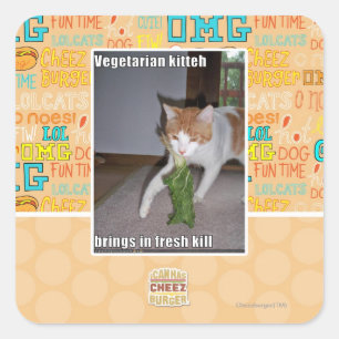 Vegetariska Kitteh Fyrkantigt Klistermärke