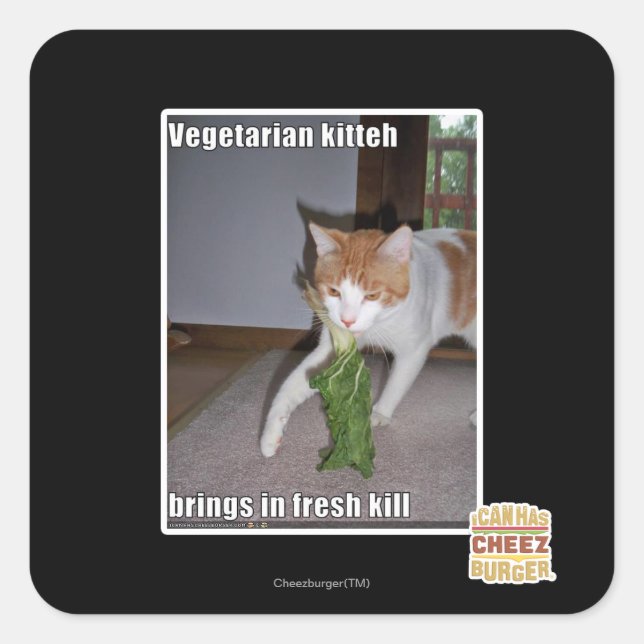 Vegetariska Kitteh Fyrkantigt Klistermärke (Framsida)
