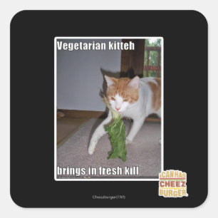 Vegetariska Kitteh Fyrkantigt Klistermärke