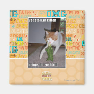 Vegetariska Kitteh Magnet